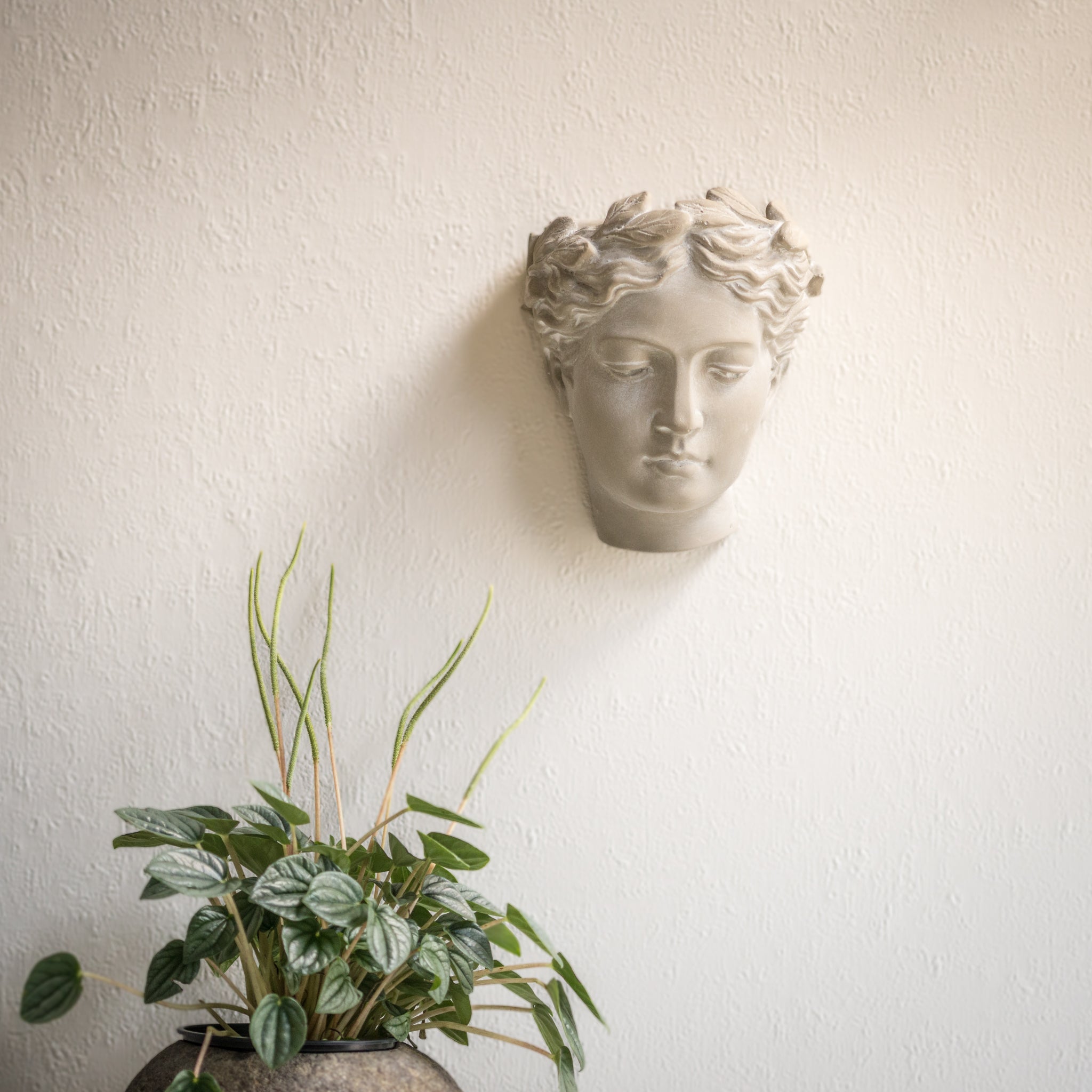 Aspetto Wall Vase