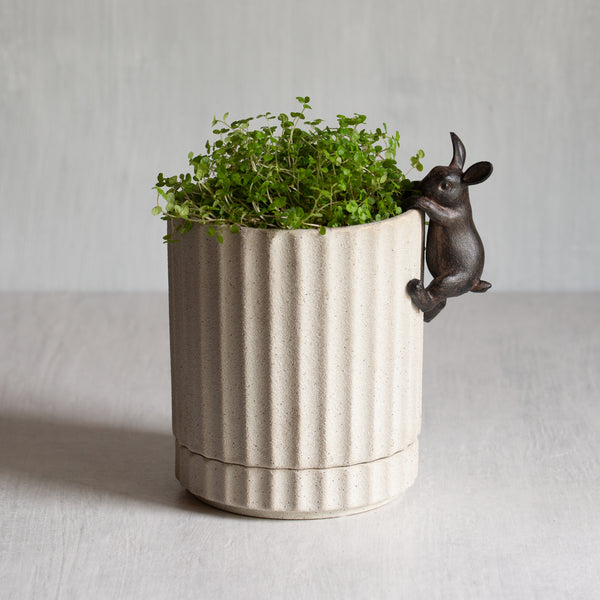 Athens Planter with Baby Tears + Hanging Rabbit
