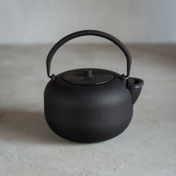 Cast Iron Tea Pot