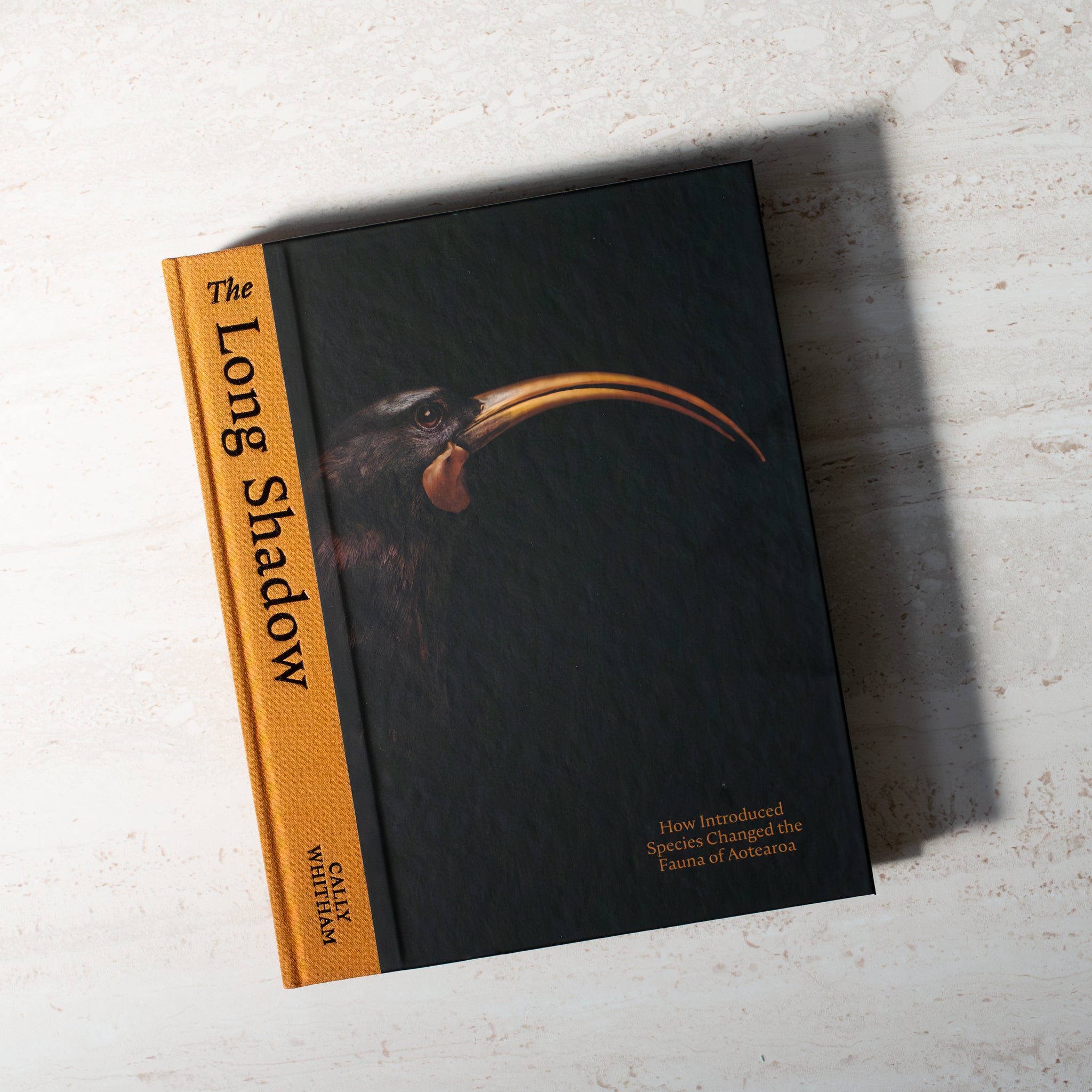 Book | The Long Shadow
