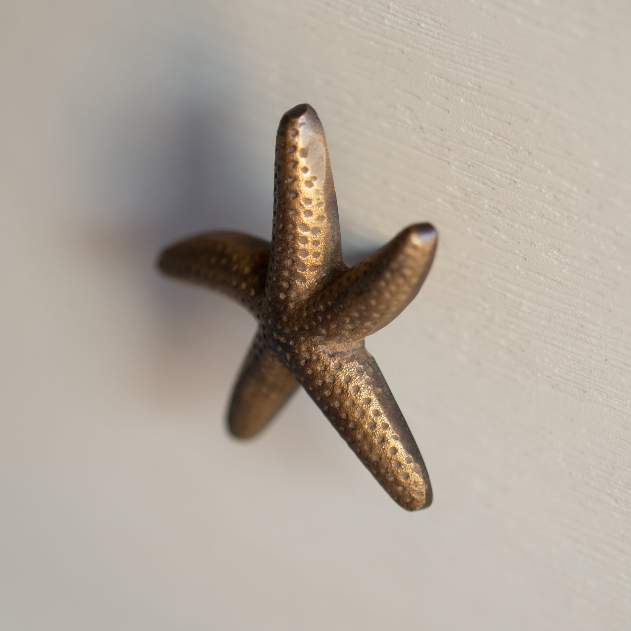 Brass Drawer Knob Starfish Folklore Store