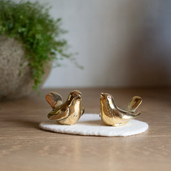 Little Bronze Gold Bird | Nesting Pair