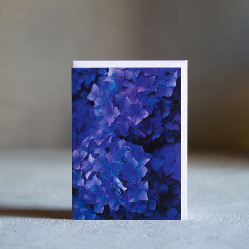 Floral Greeting Card | Hydrangeas
