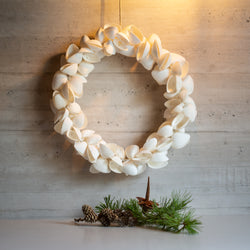 Shell Arca Wreath | 30cm