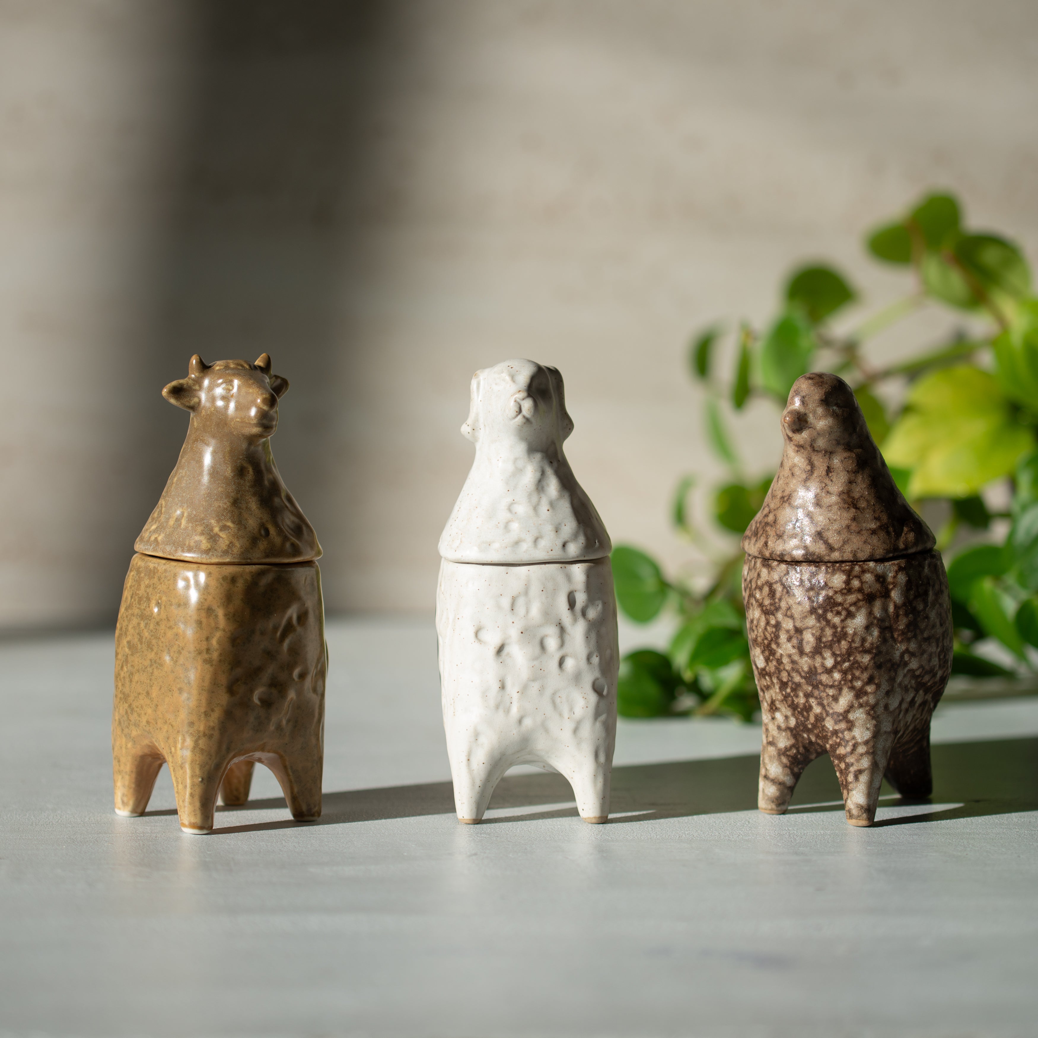 Ceramic Jar | Dario  the Dog