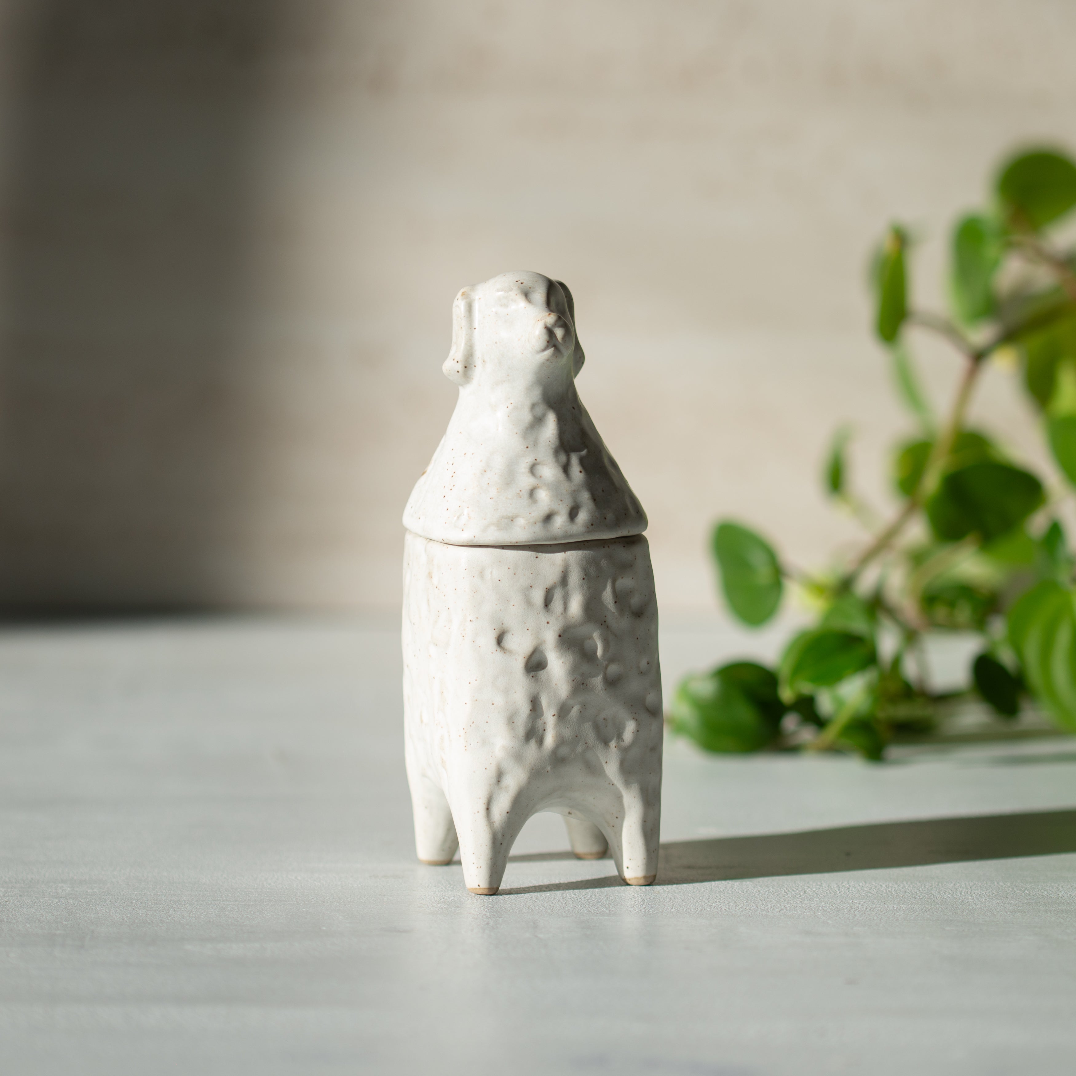 Ceramic Jar | Dario  the Dog