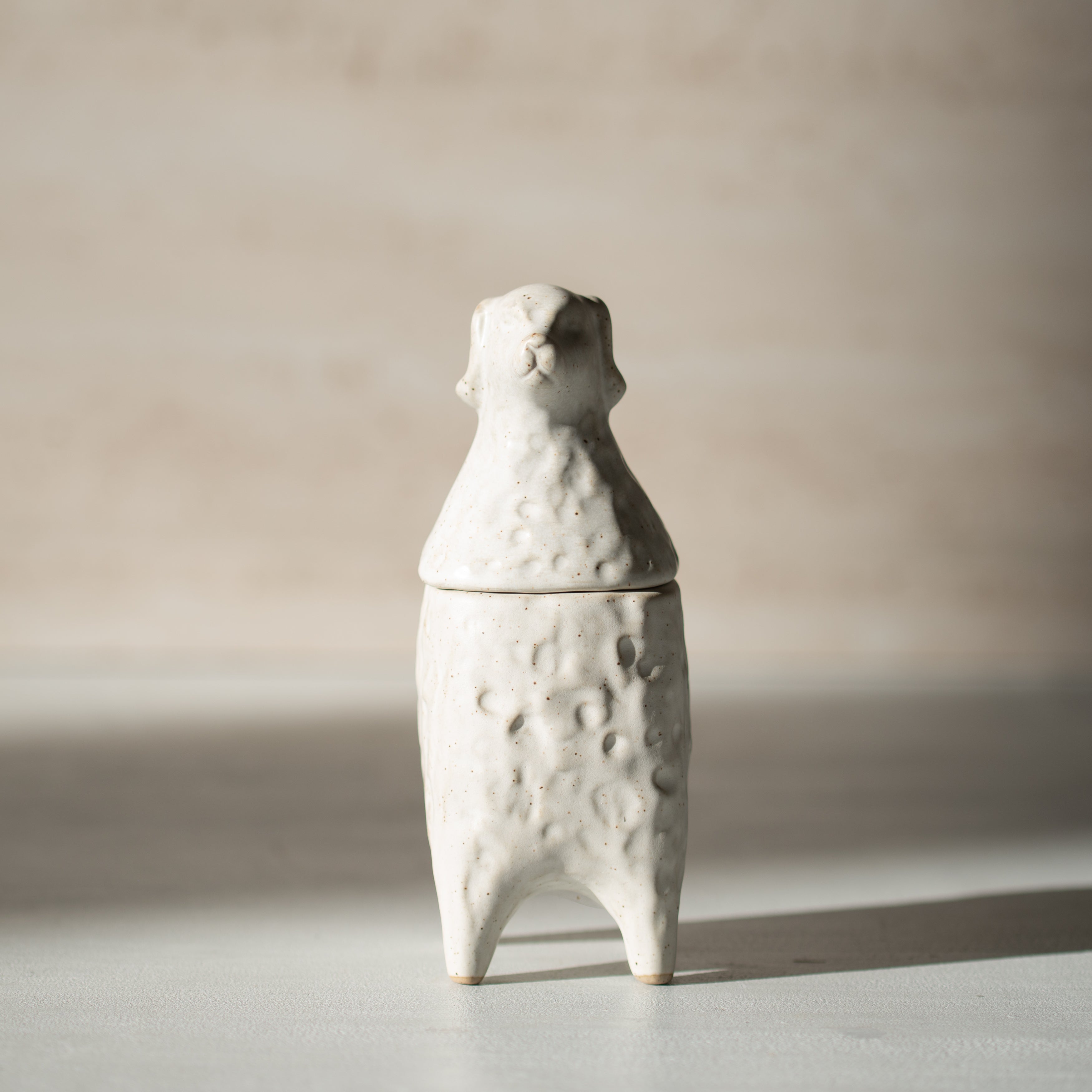 Ceramic Jar | Dario  the Dog