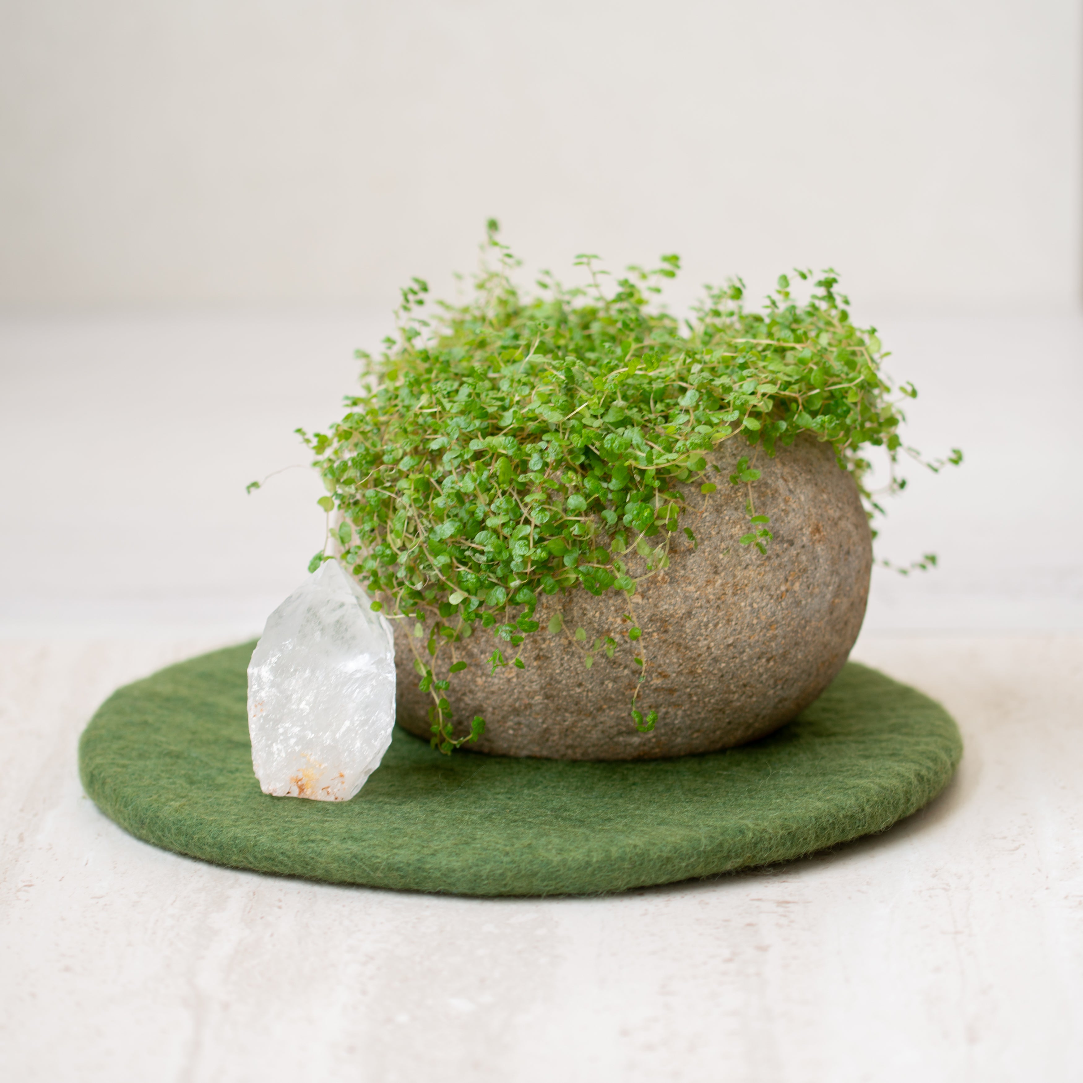 Felt Wool Placemat  | Olive