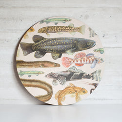 NZ Freshwater Fish Placemat