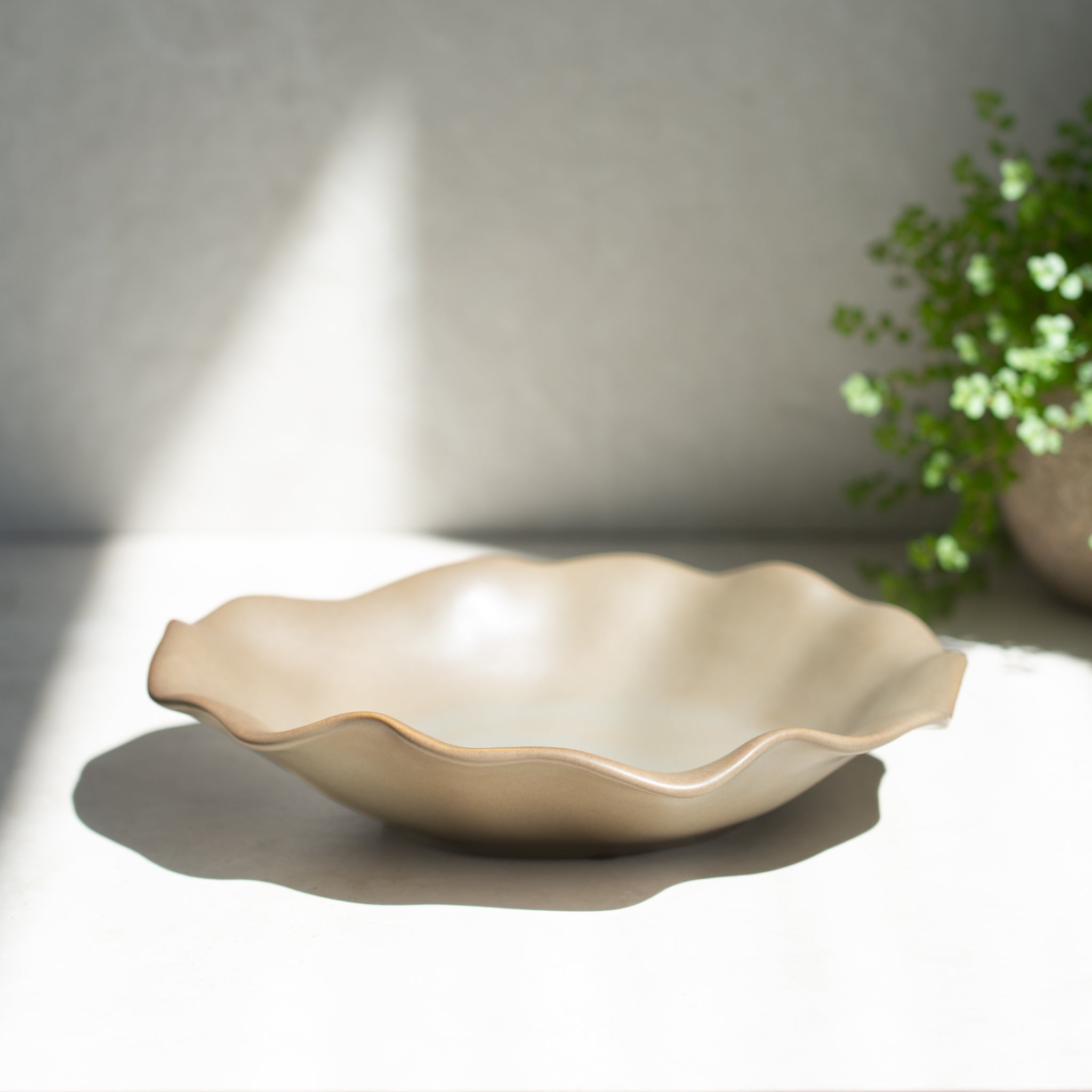 Fluide Plate | Grey/Beige