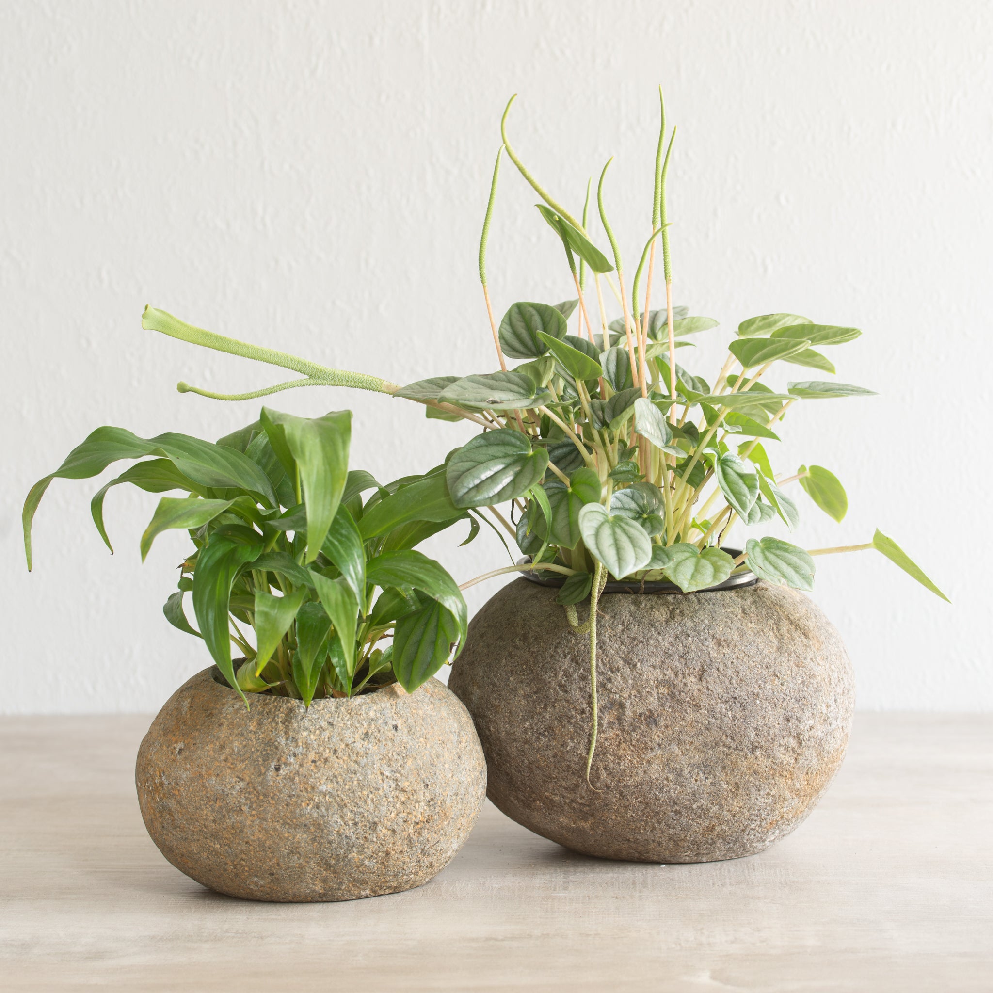 Stone Planter Pot Combo | REGULAR + LARGE