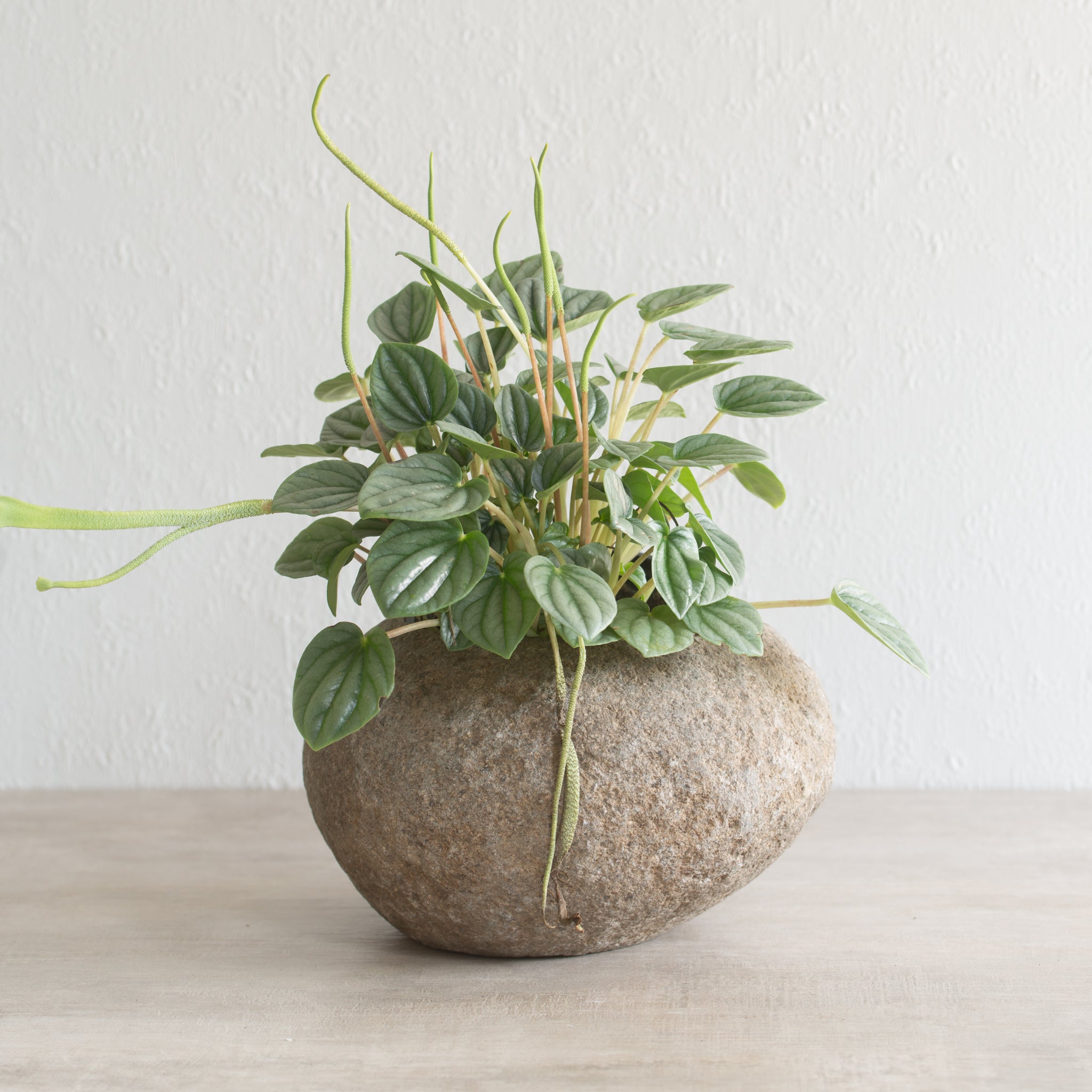 Stone Planter Pot | X-LARGE