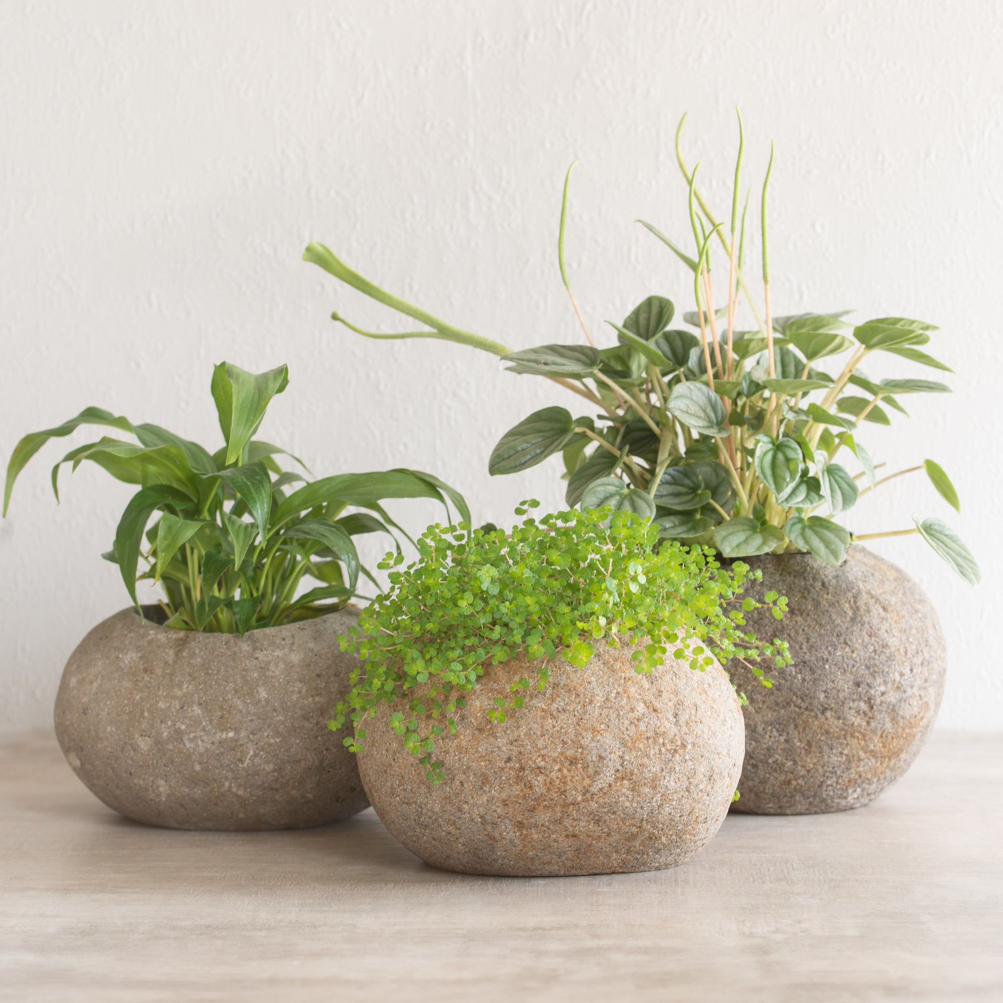 indoor stone plant pots Stone Planter Pot - Hollow Rock Planter