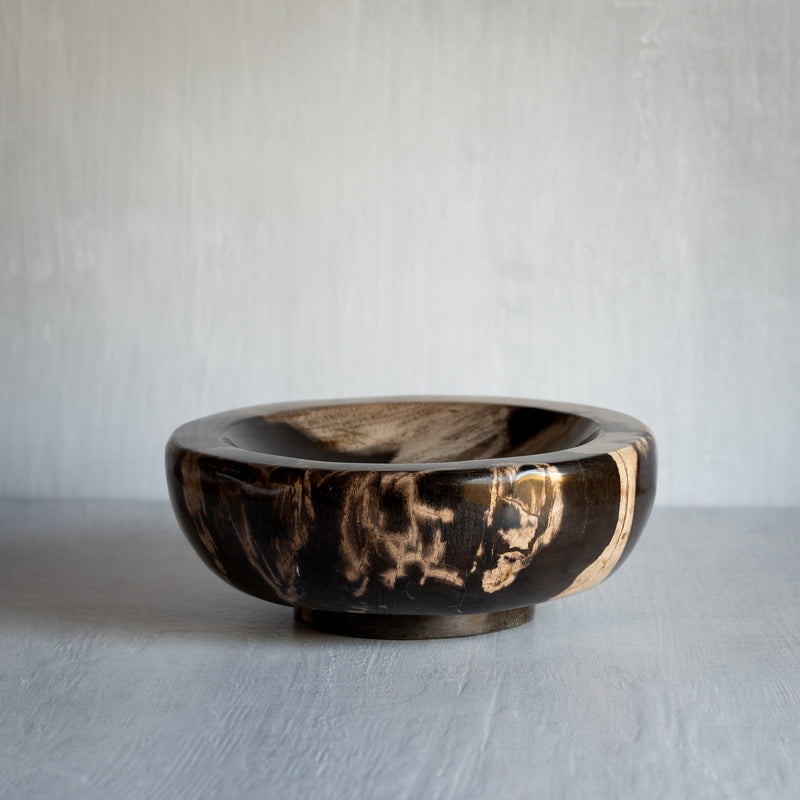 Petrified Wood Bowl | Pedestal | Foot