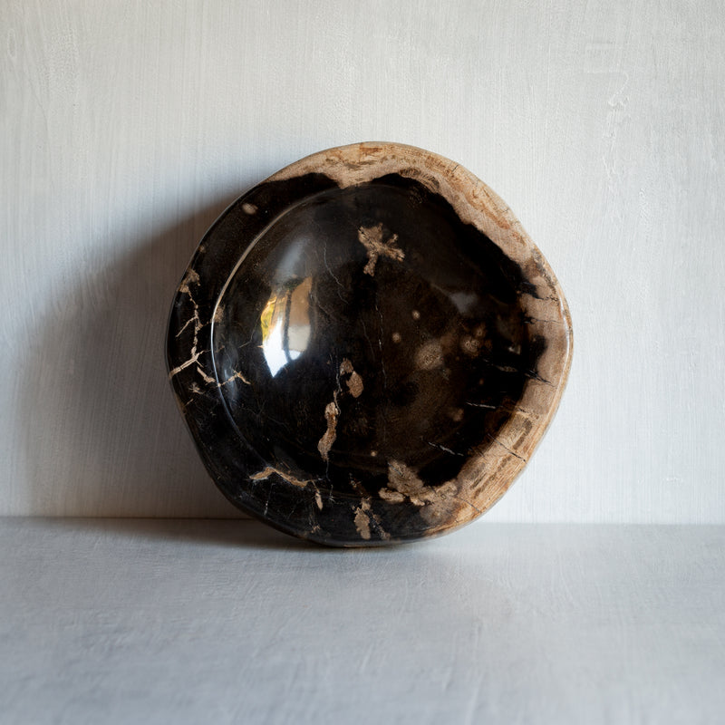 Petrified Wood Bowl | Pedestal | Foot
