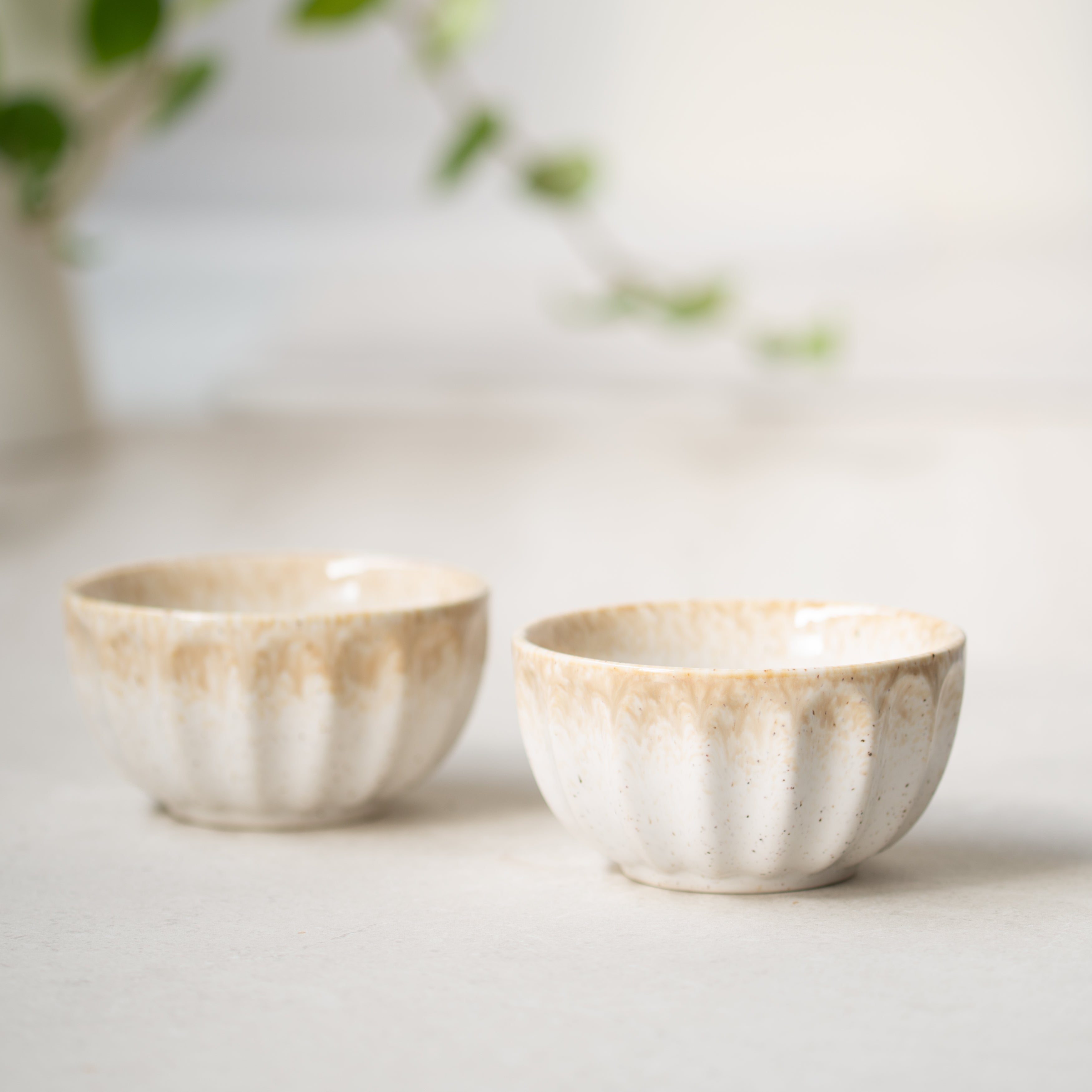 Franco Medium Bowl | Nougat | Set/2