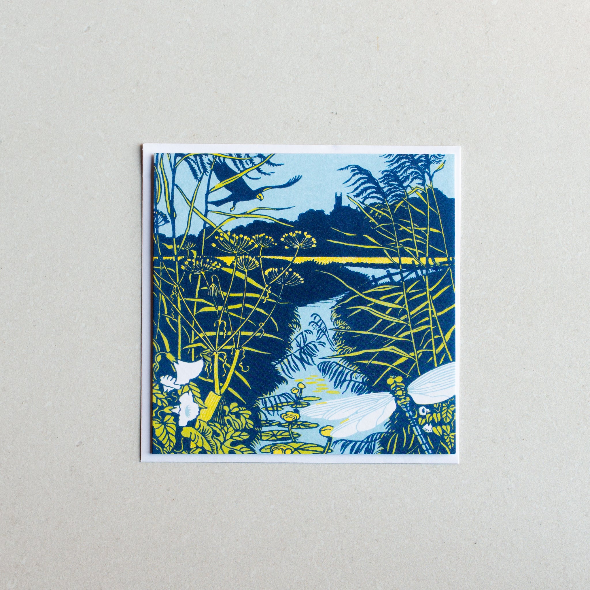 Medium Greeting Card | Hunting Harrier