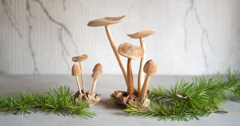 Woodland Mushroom | Hand Carved - Large