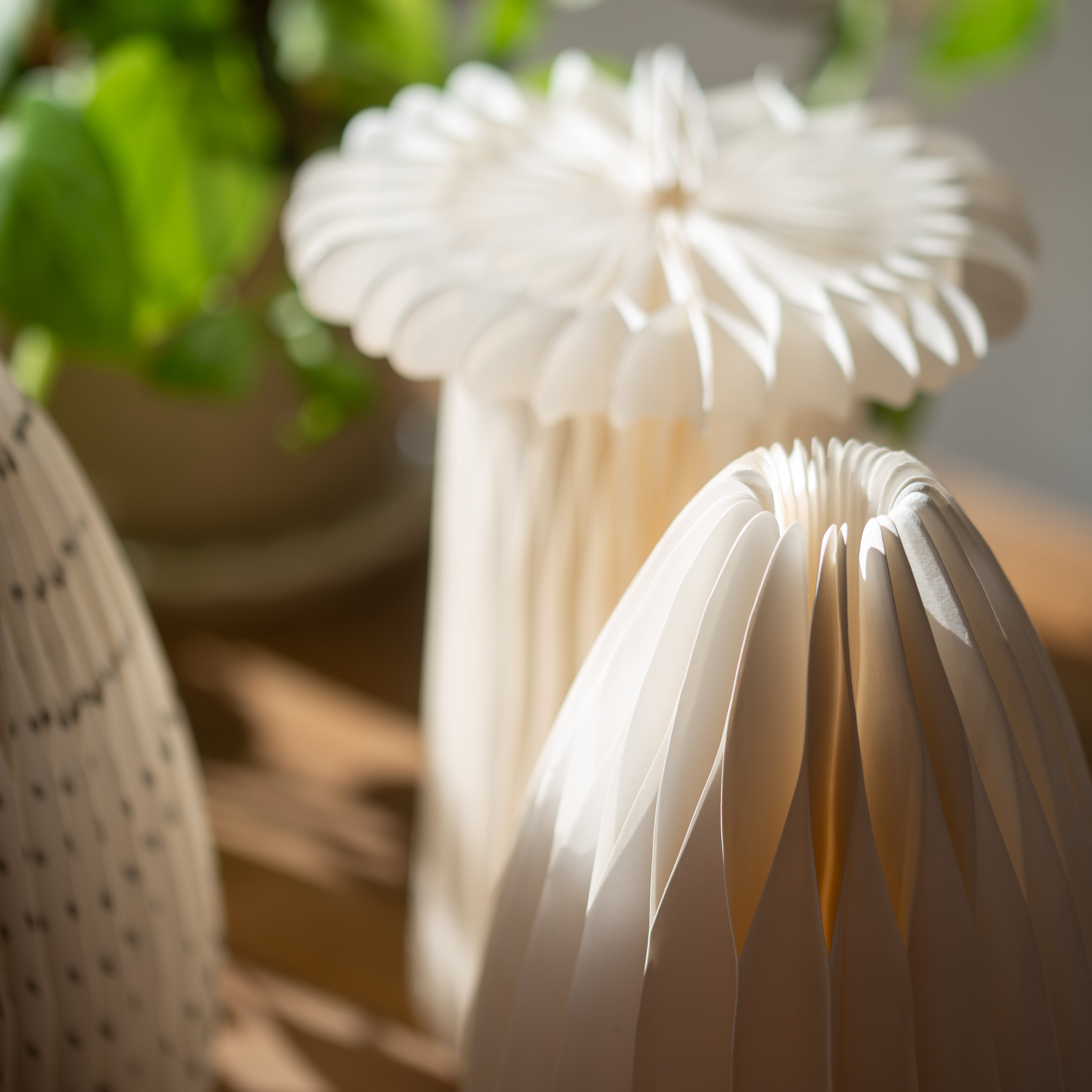 Honeycomb Vase | Belle | Natural