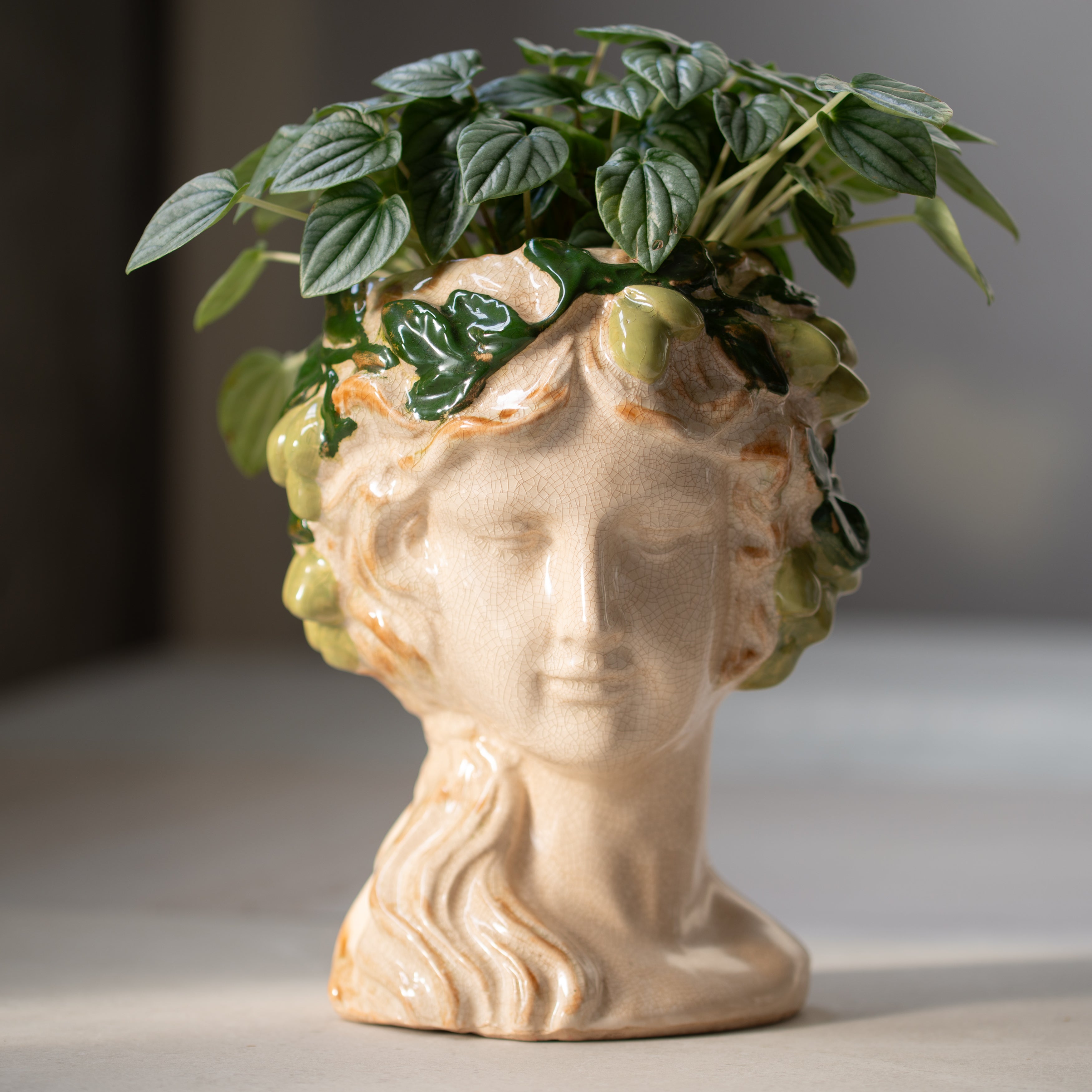 Marissa in the Olives | Ceramic Pot