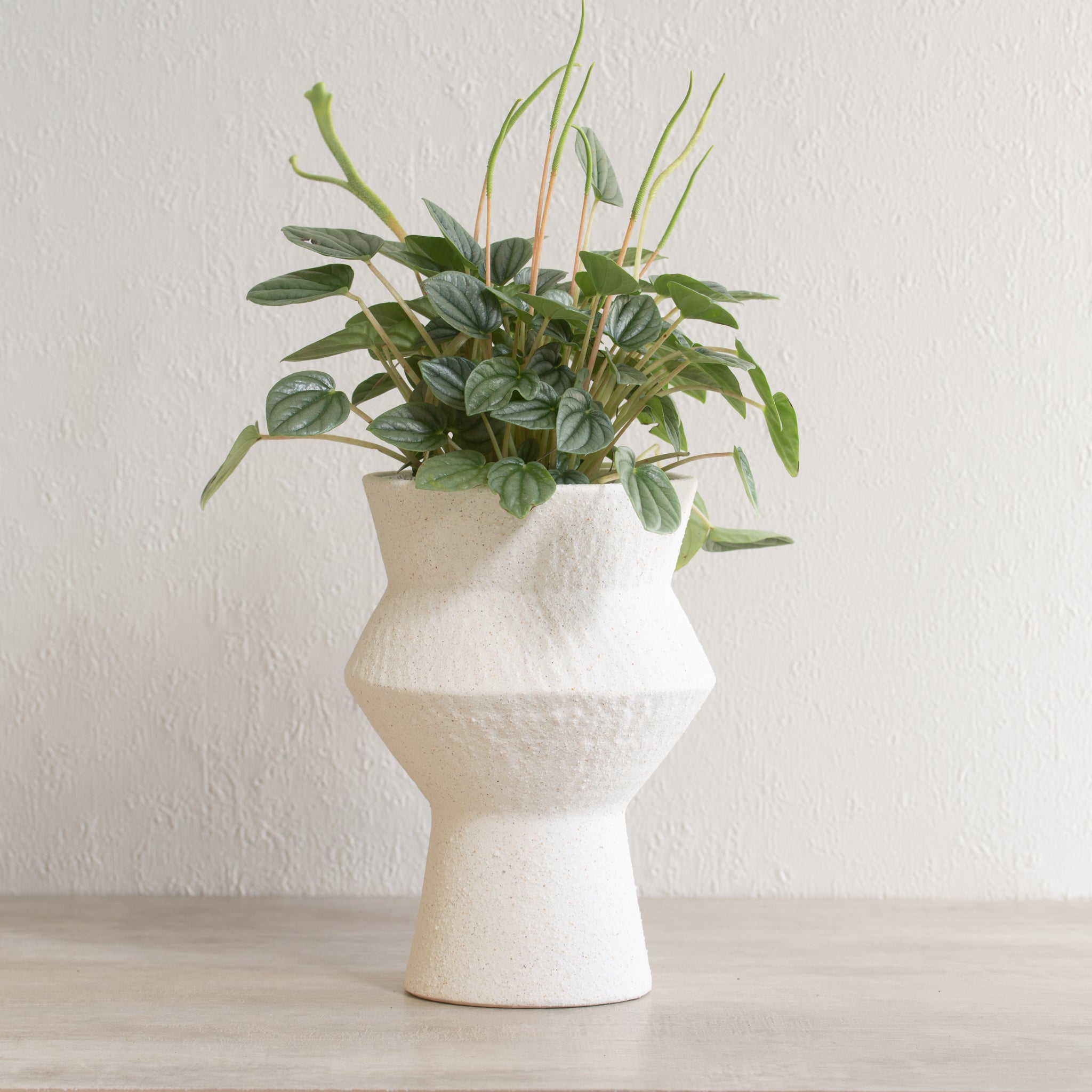 Mezzo Vase | Medium