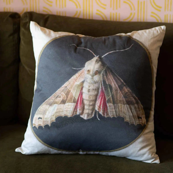 Cushion Cover | Moth Print