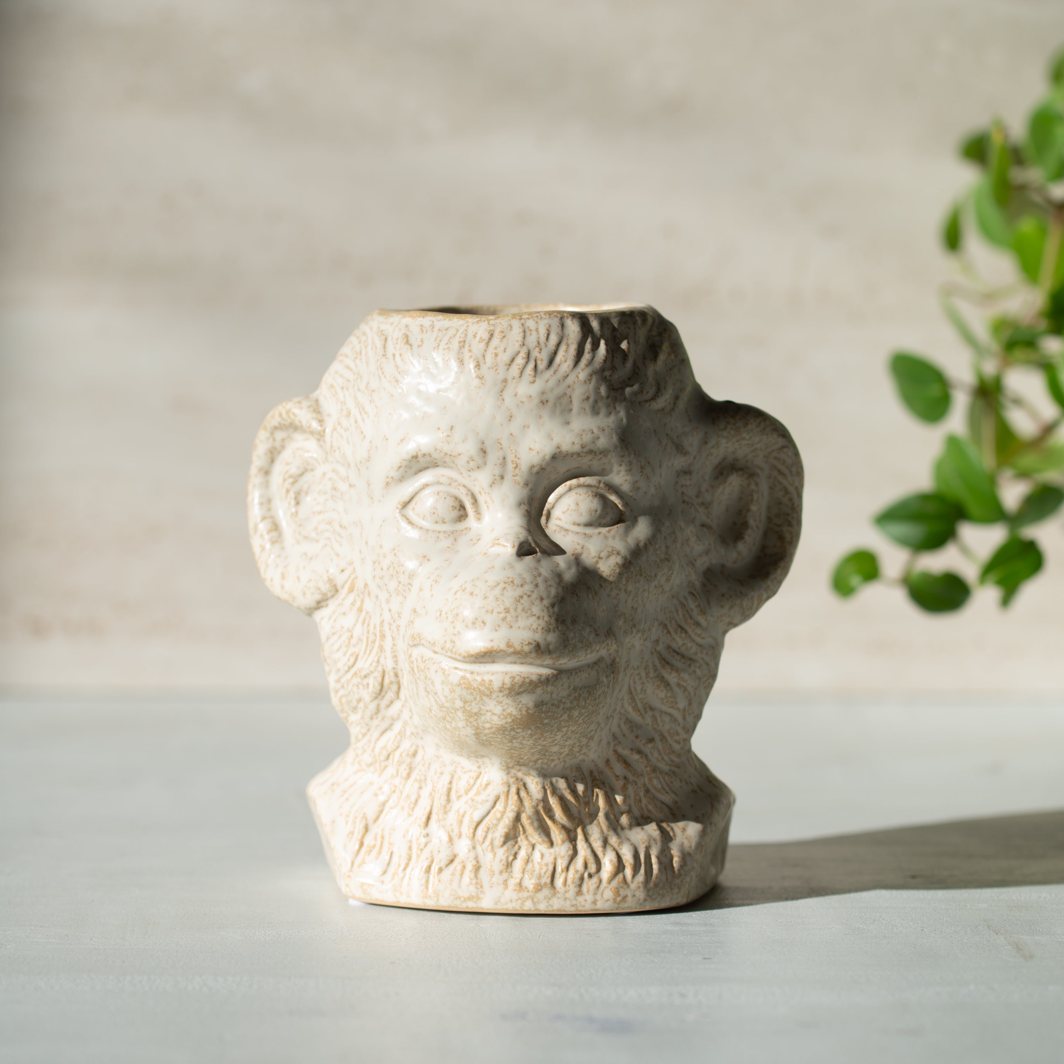 Mr Monkey | Ceramic Pot
