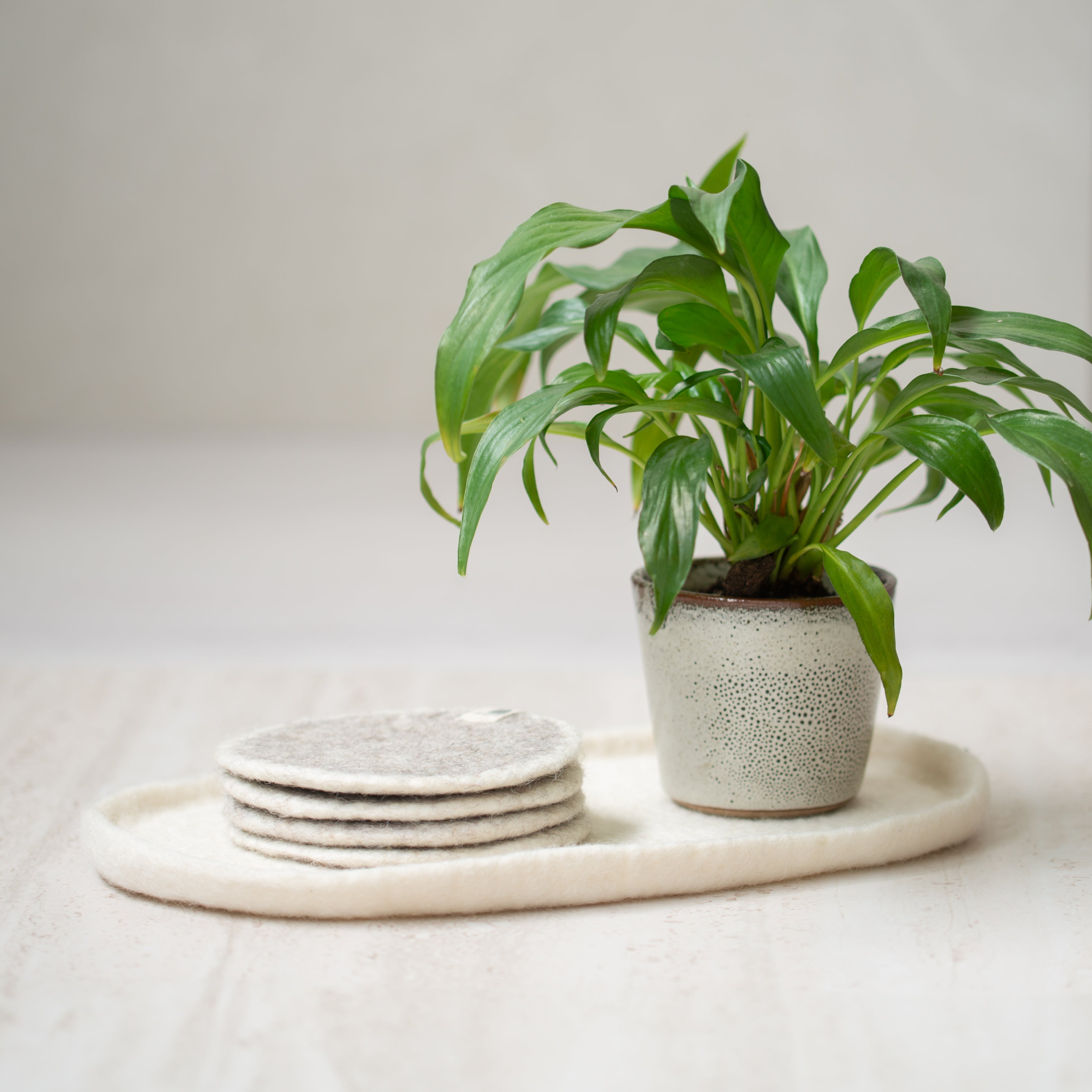 Muskhane Wool Felt Plato | Oval | Natural