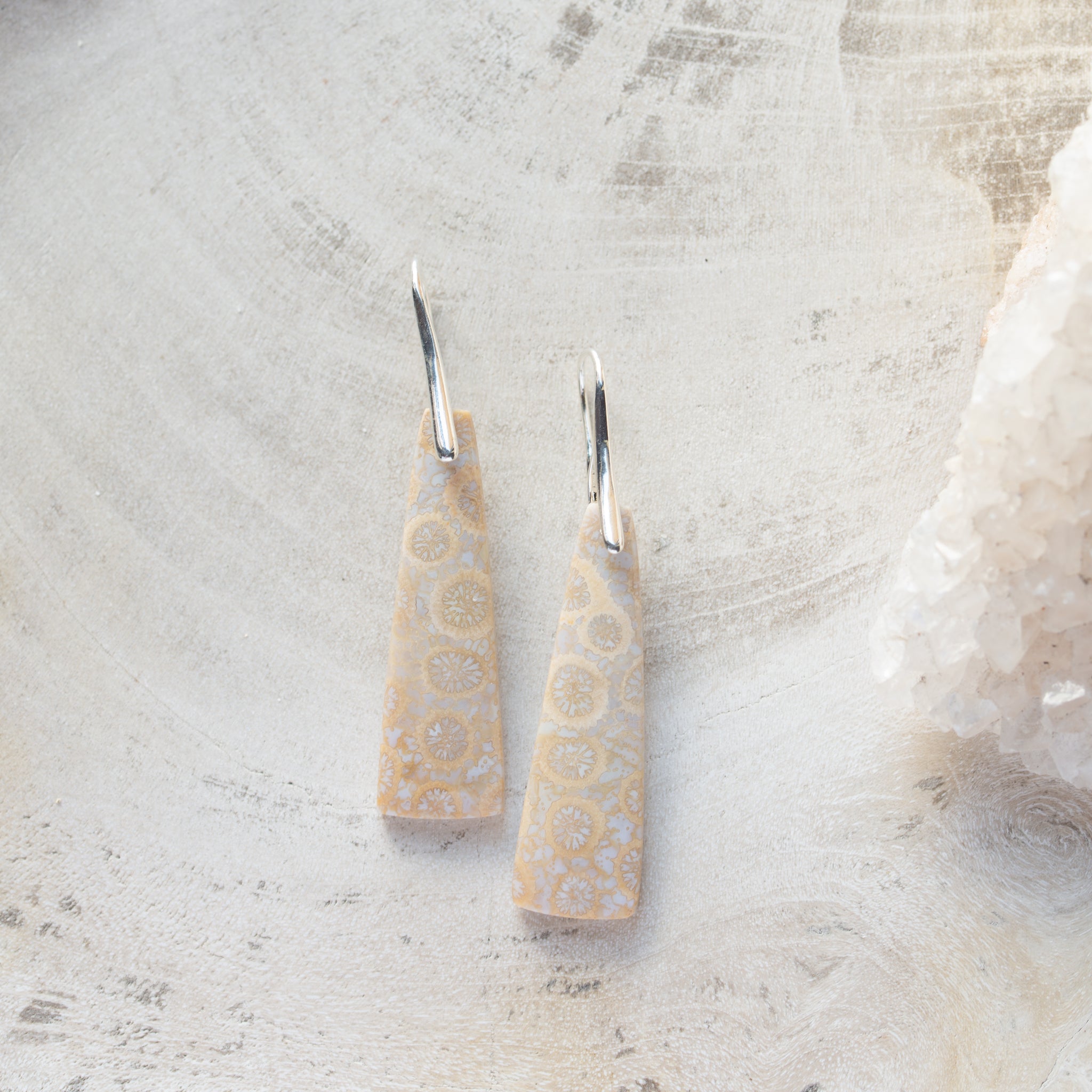 Natural Stone Earrings | Fossil Coral [Design E]