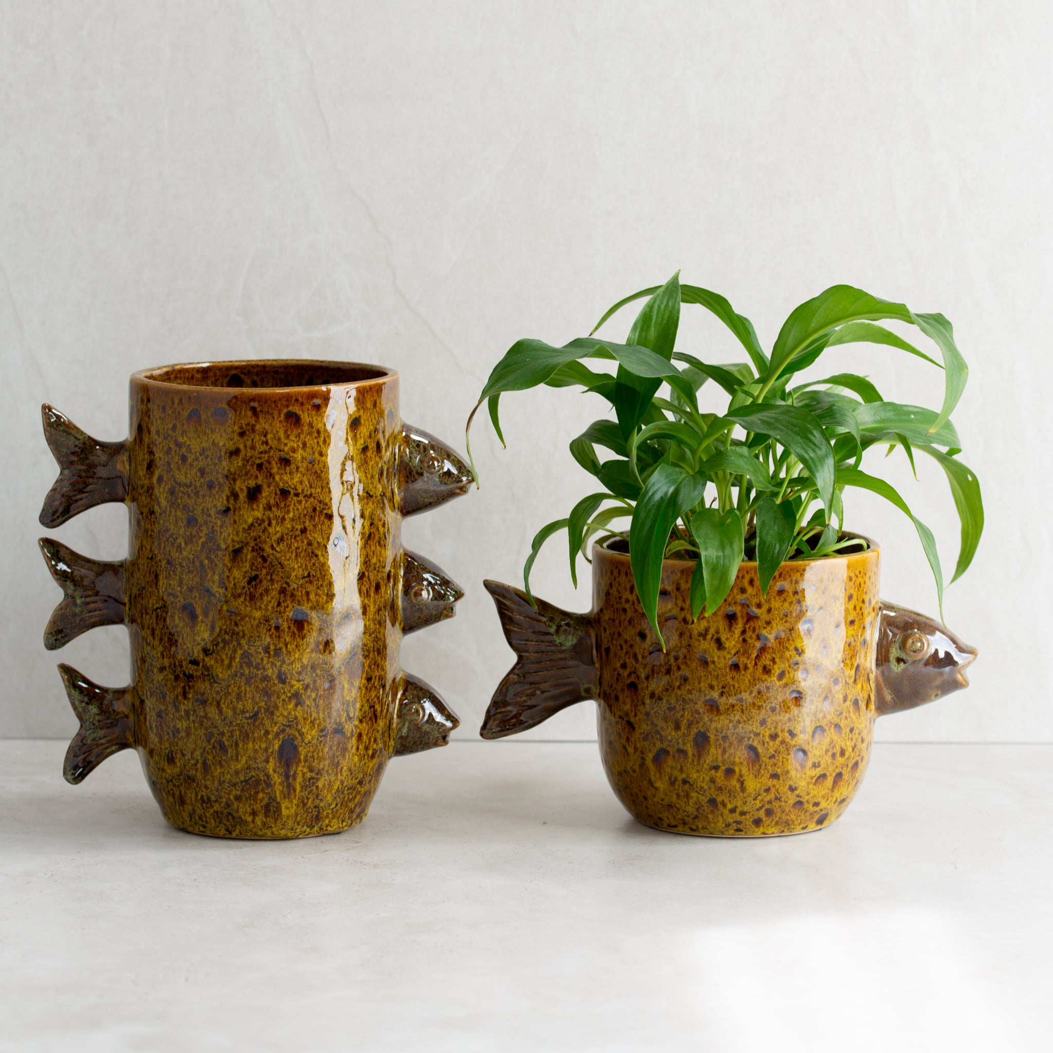 Pescari Ceramic Pot | Single