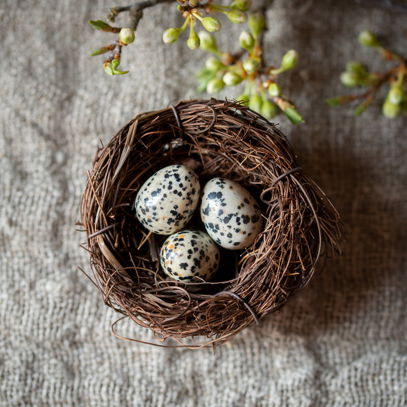 Petite Nest + Eggs