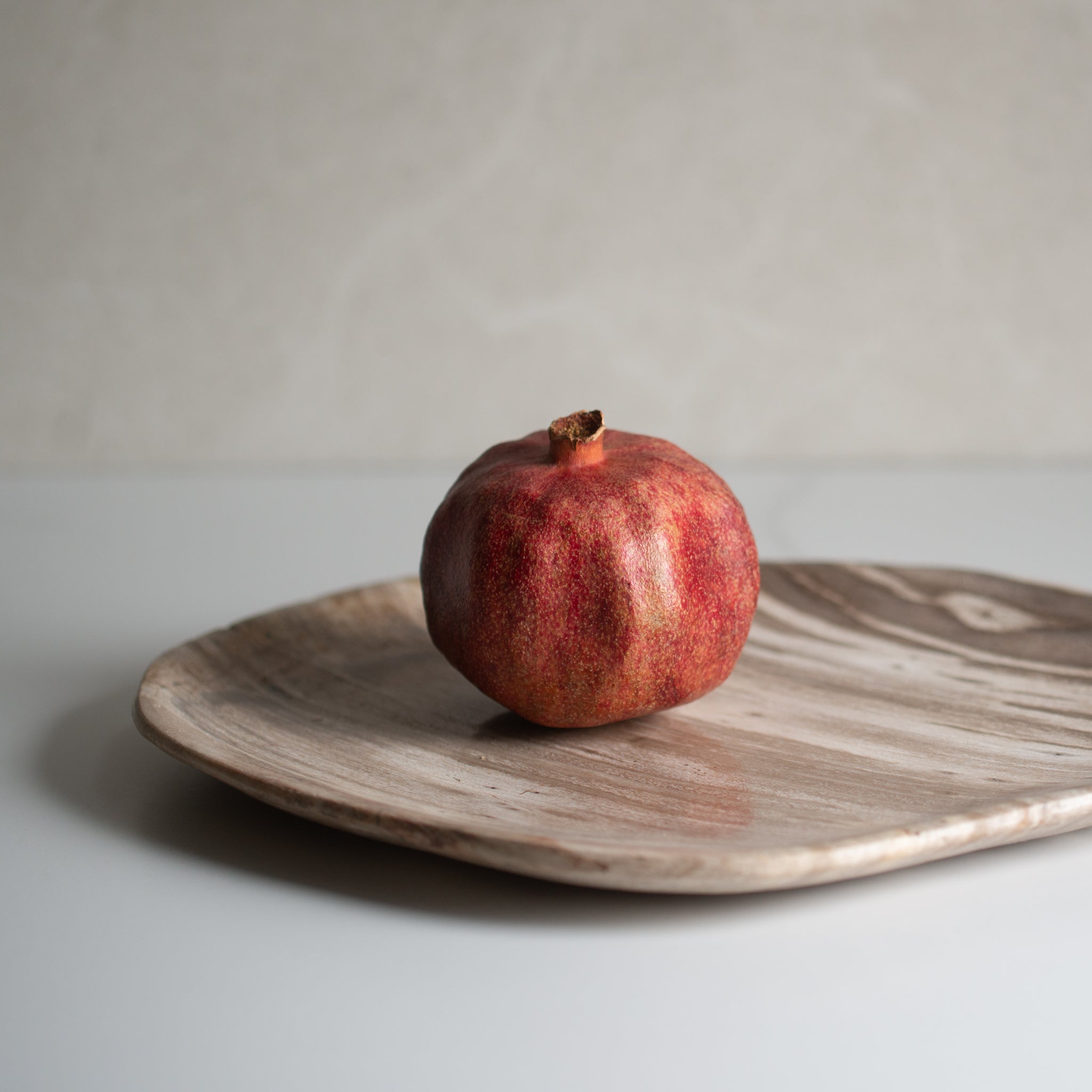 Petrified Wood Plate | 'L'