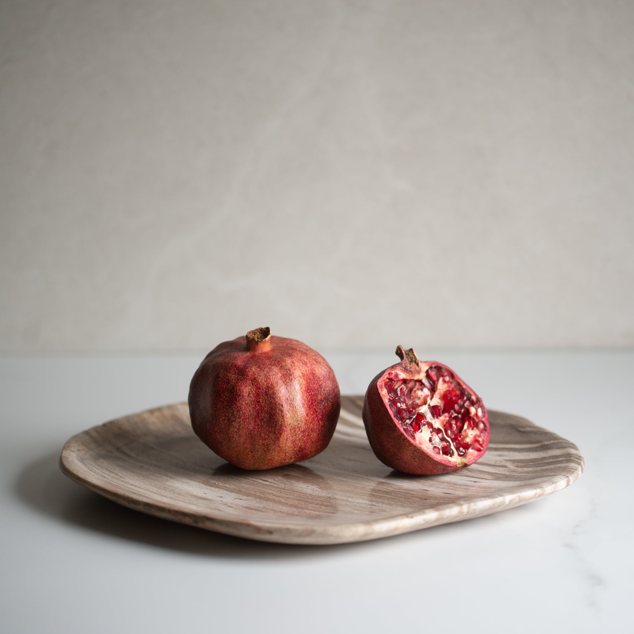 Petrified Wood Plate | 'L'