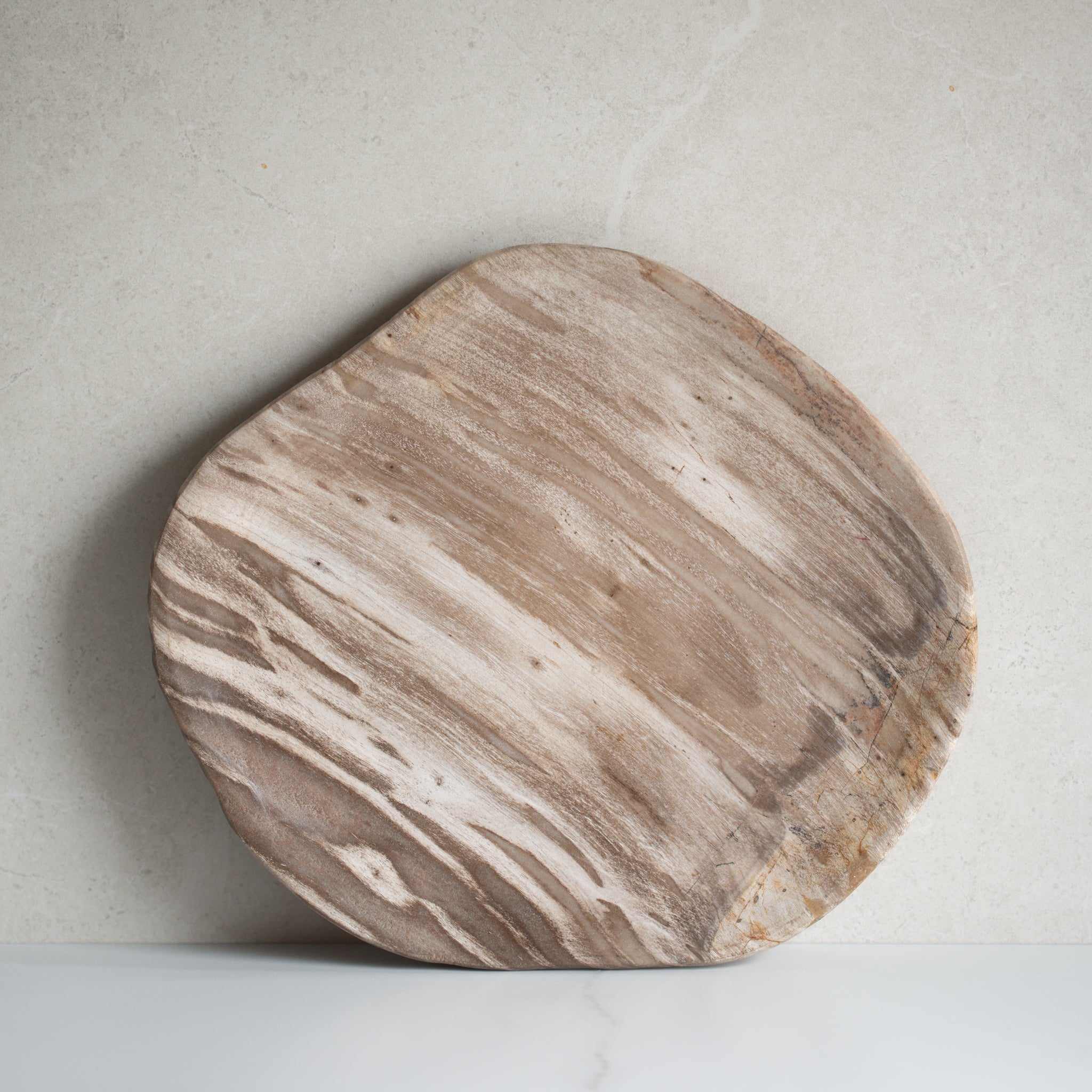 Petrified Wood Plate | 'L'