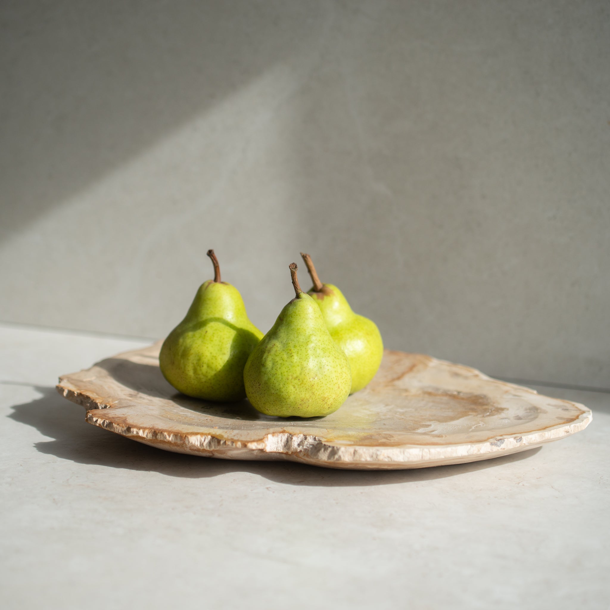 Petrified Wood Plate | 'M'