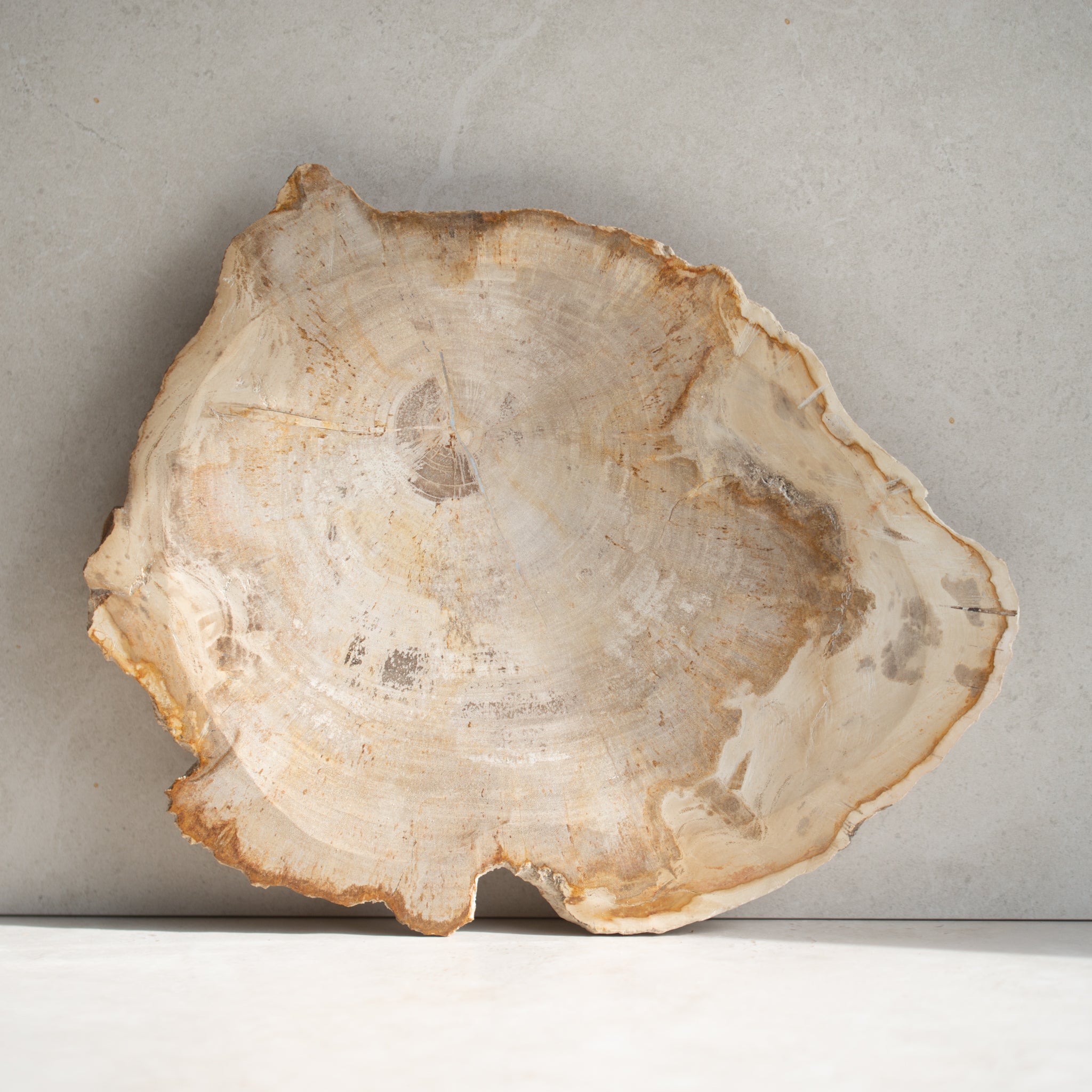 Petrified Wood Plate | 'M'