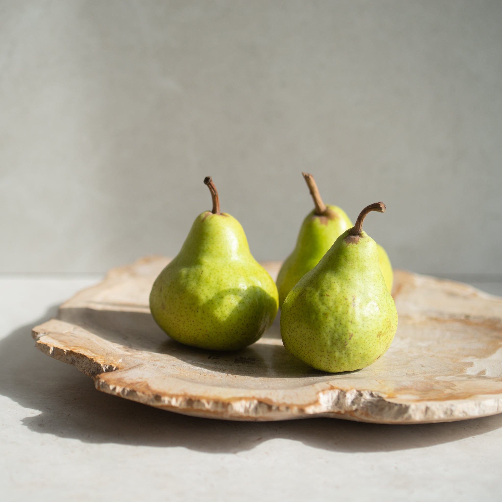 Petrified Wood Plate | 'M'