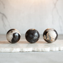 Petrified Wood Balls | Set of Three 'C'(6cm)