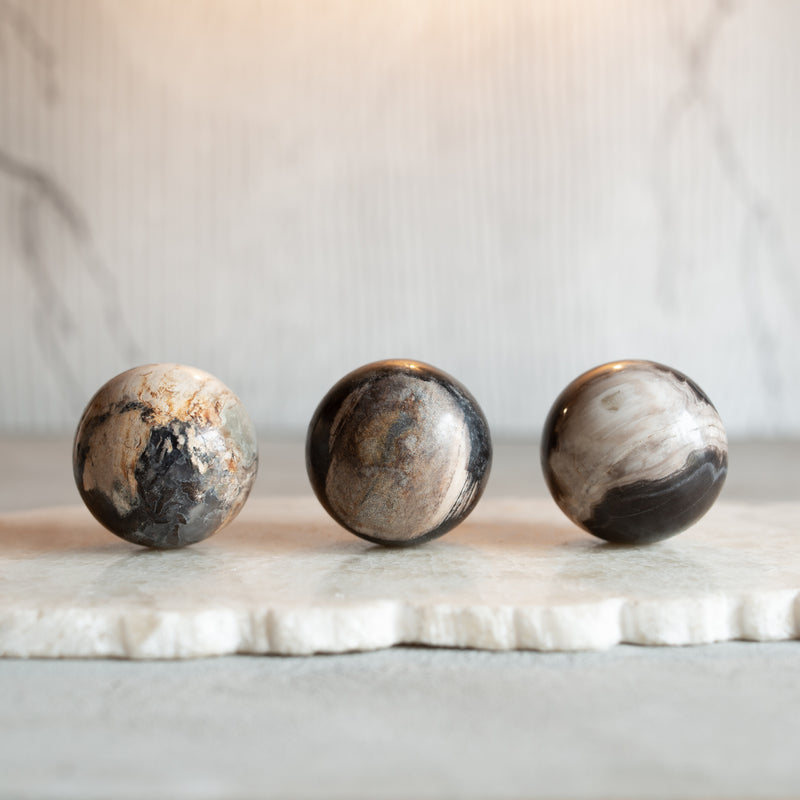 Petrified Wood Balls | Set of Three 'D' [6 cm]