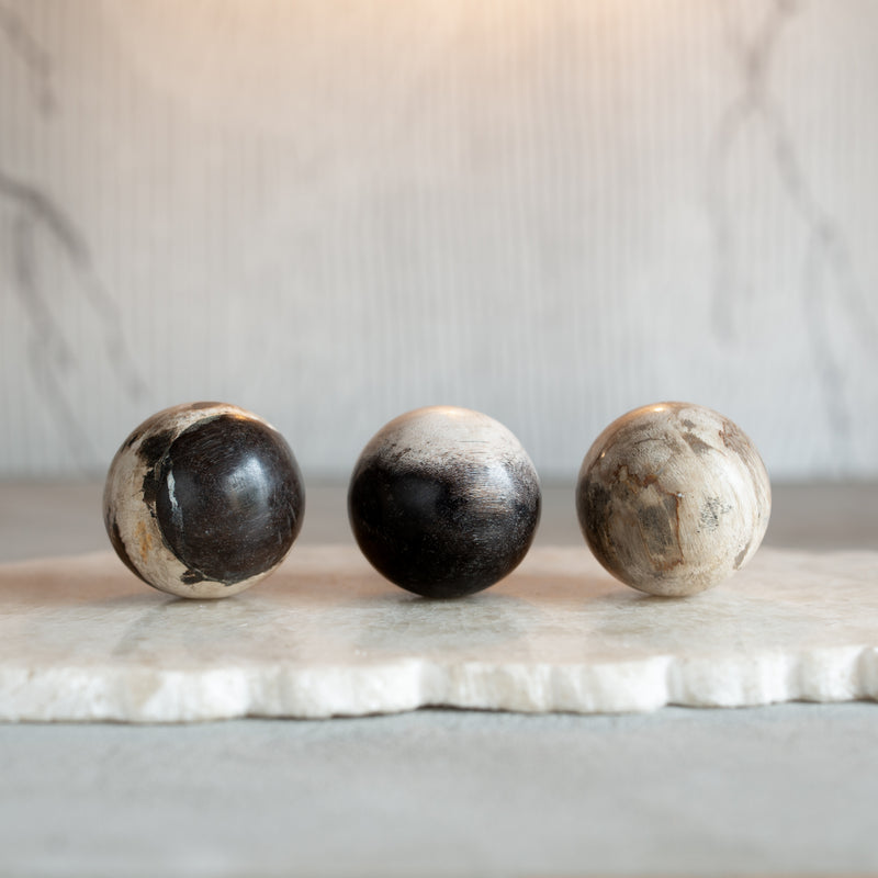 Petrified Wood Balls | Set of Three 'H' [6cm]