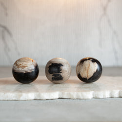 Petrified Wood Balls | Set of Three 'I' [6cm]