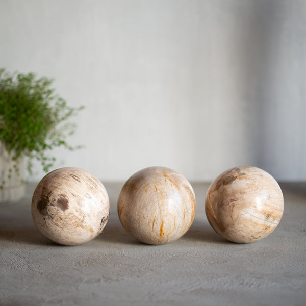 Petrified Wood Balls | Set of Three | 10cm