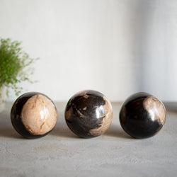 Petrified Wood Balls | Set of Three | 10cm