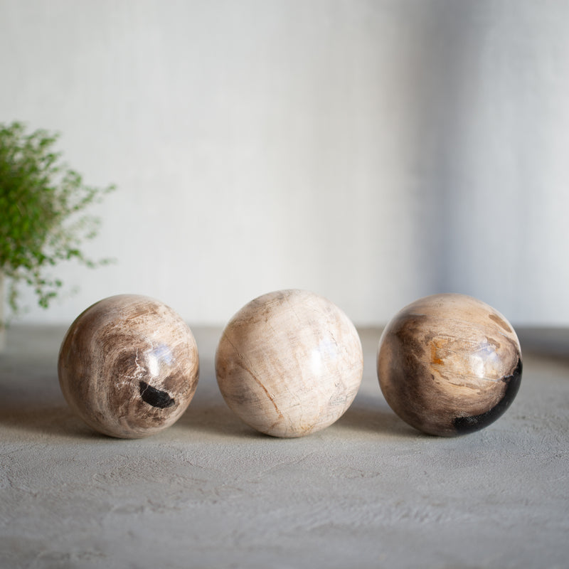 Petrified Wood Balls | Set of Three | 10cm