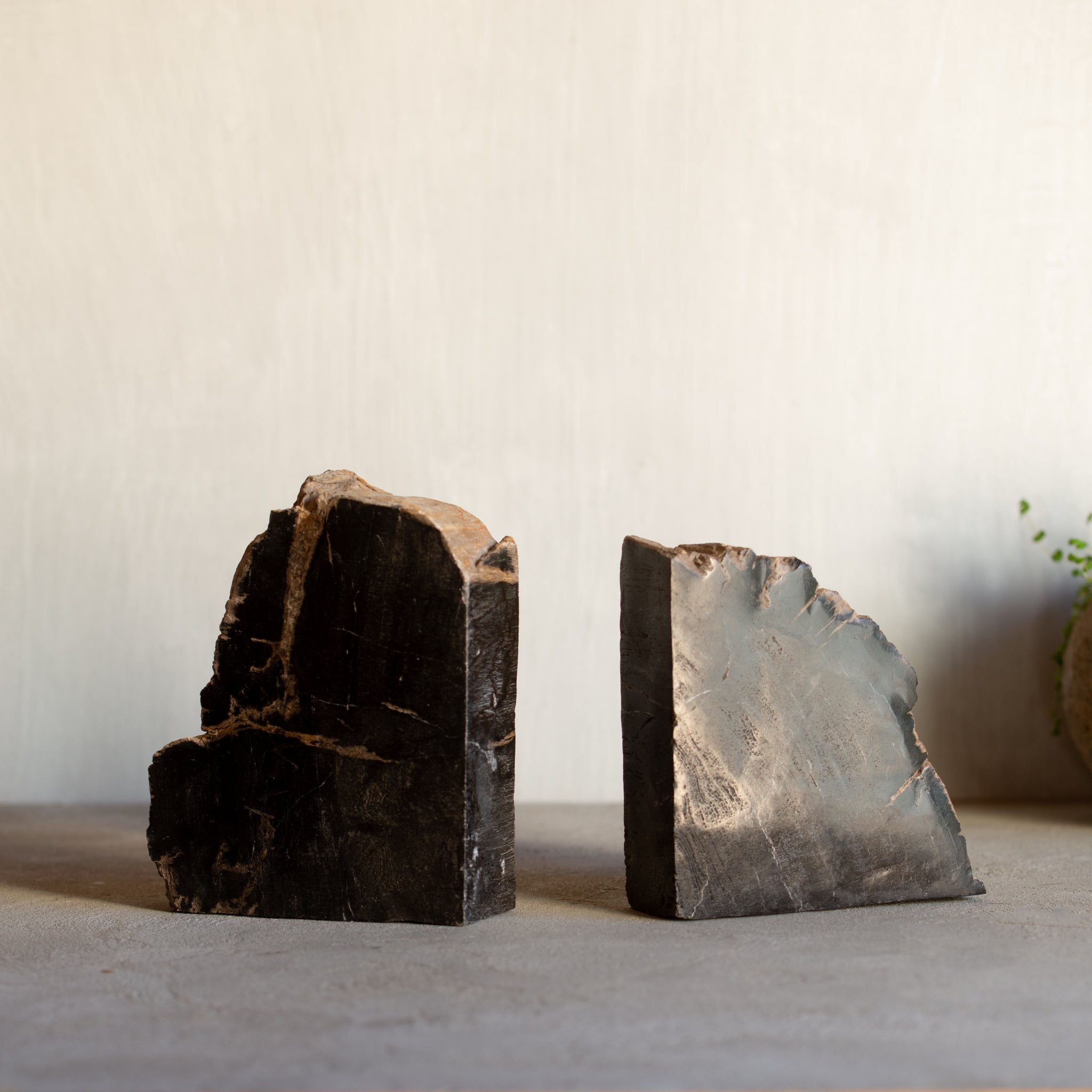 Petrified Wood Bookends |  Set (A)