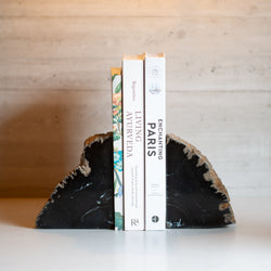 Petrified Wood Bookends |  Set (B)