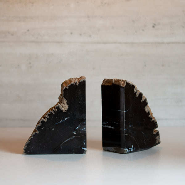 Petrified Wood Bookends |  Set (B)