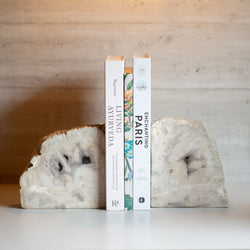 Petrified Wood Bookends |  Set (D)