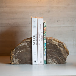 Petrified Wood Bookends |  Set (E)