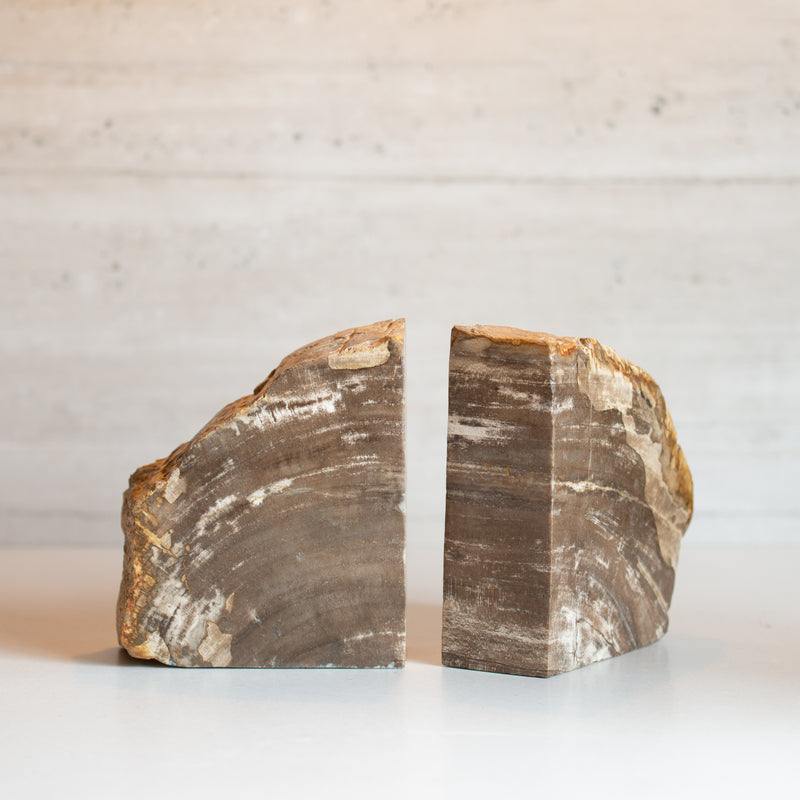 Petrified Wood Bookends |  Set (E)